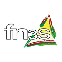 fn3s